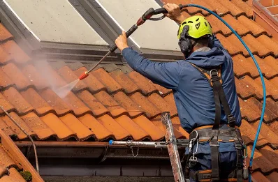 Démoussage et hydrofuge de toiture à Bastanès